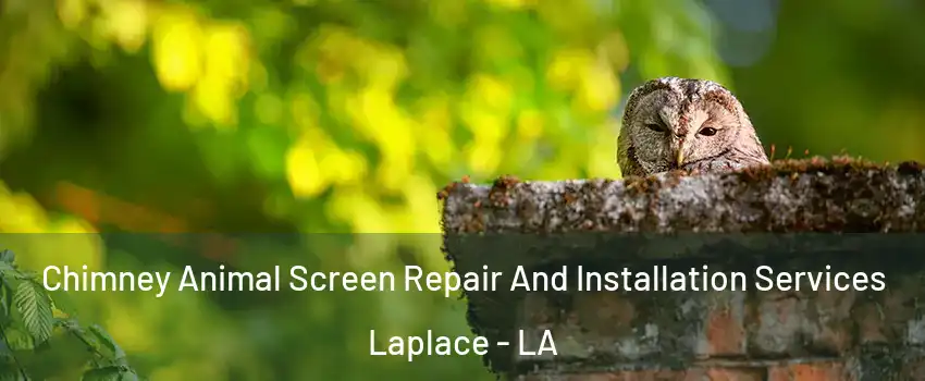  Chimney Animal Screen Repair And Installation Services Laplace - LA