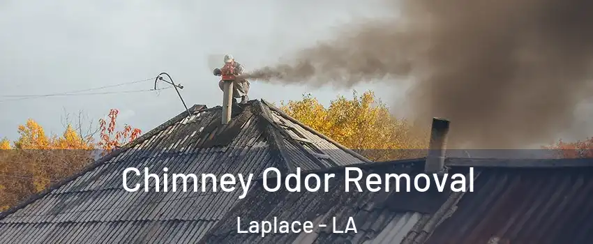  Chimney Odor Removal Laplace - LA