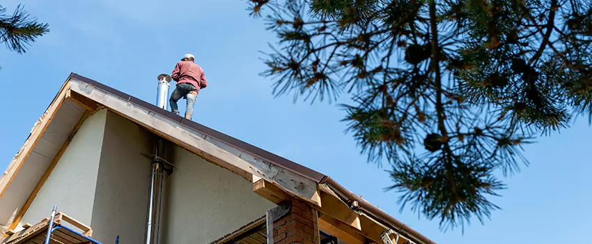 Birds Removal Contractors from Chimney in Laplace, LA